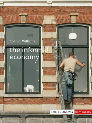cover image of The Informal Economy
